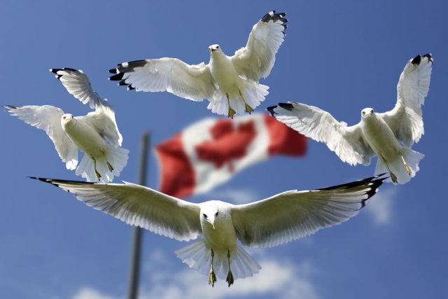 Canadá