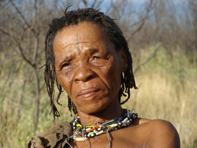 Bushman