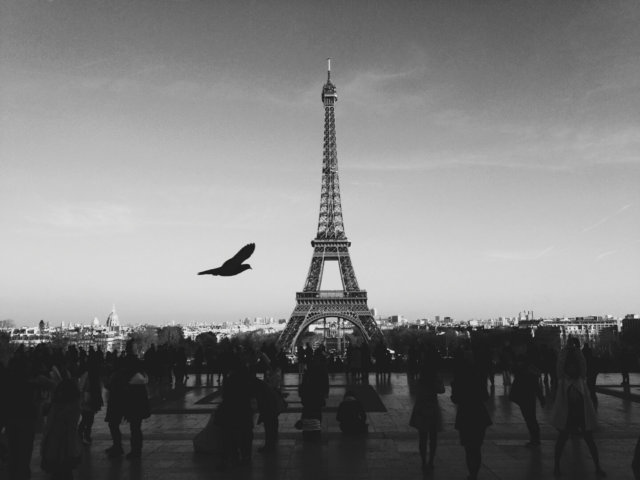 eiffel-tower-351492_1920