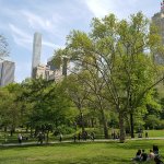 new-york-Central Park