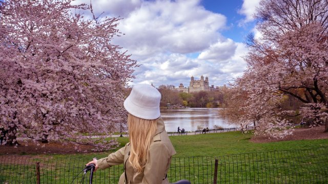 passeando de bike no Central Park