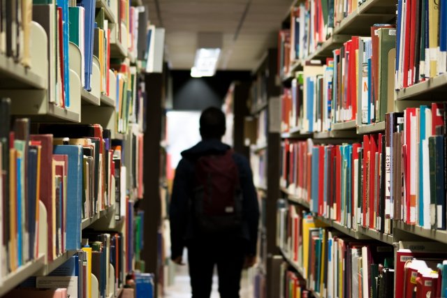 bolsas de estudos