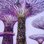 Garden by the Bay 2