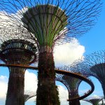 gardens-by-the-bay