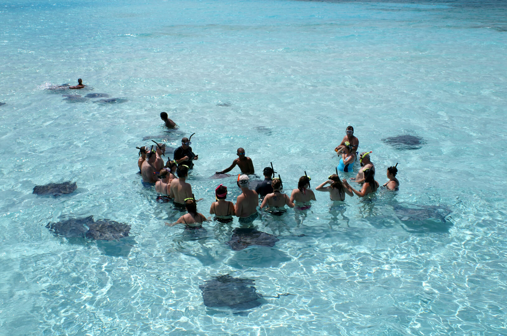 Ilhas Cayman - Mergulho com arraias