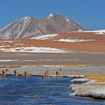 chile-970438_1920